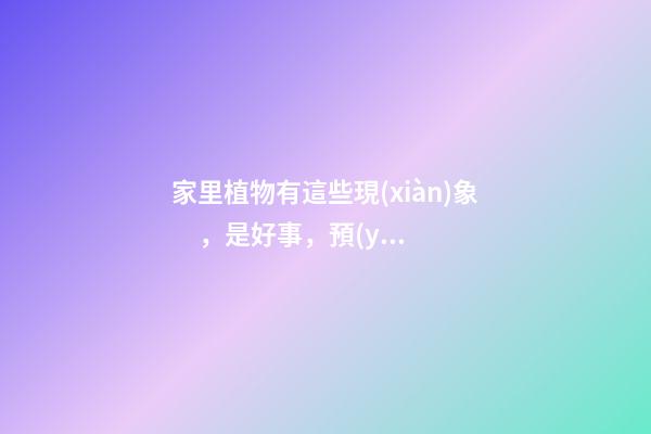 家里植物有這些現(xiàn)象，是好事，預(yù)示你家要發(fā)大財了！